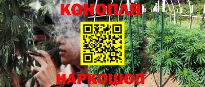 МДПВ Шелехов