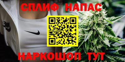 МДПВ Шелехов