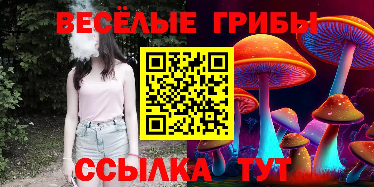 Богородицк  Псилоцибиновые грибы ЛСД  Вход с VPN  Псилоцибиновые грибы Psilocybine cubensis 