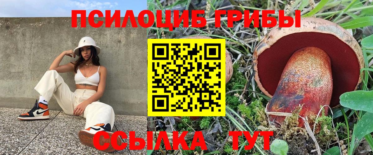 Псилоцибиновые грибы мухоморы Богородицк